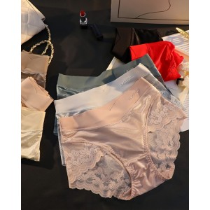 Sexy Lace Slinky Panties