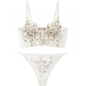 Embroidered Lace and Steel Bone Overlay French Lingerie Bra Set