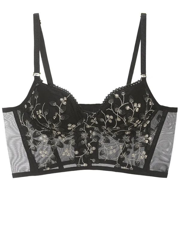 Embroidered Lace and Steel Bone Overlay French Lingerie Bra Set Embroidered Lace and Steel Bone Overlay French Lingerie Bra Set