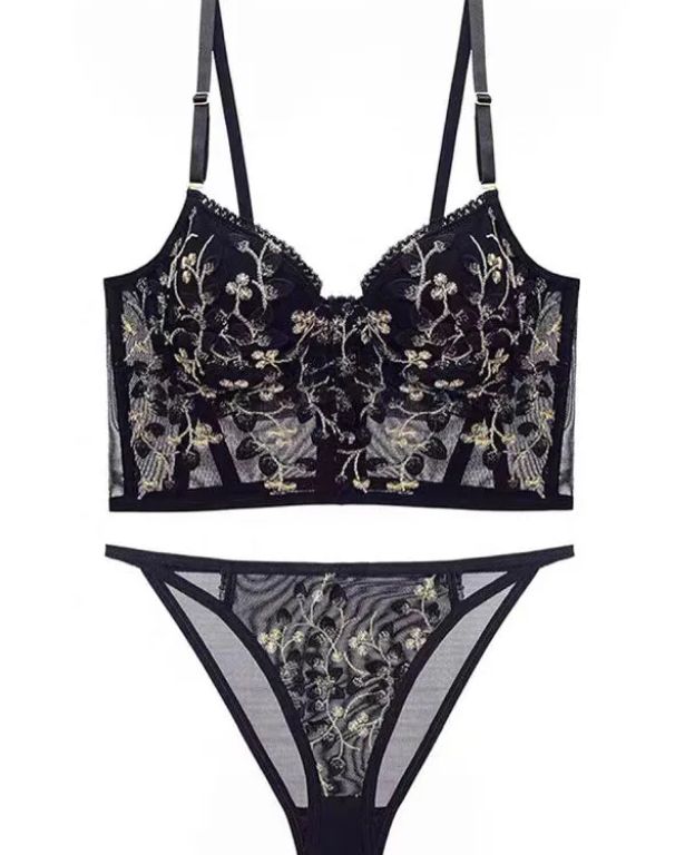 Embroidered Lace and Steel Bone Overlay French Lingerie Bra Set Embroidered Lace and Steel Bone Overlay French Lingerie Bra Set
