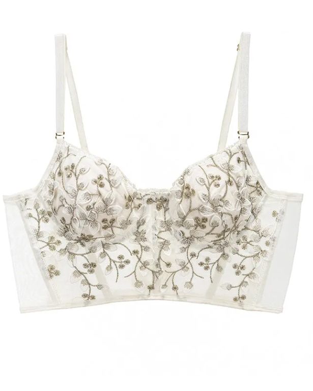 Embroidered Lace and Steel Bone Overlay French Lingerie Bra Set Embroidered Lace and Steel Bone Overlay French Lingerie Bra Set